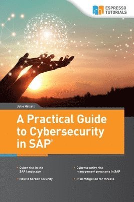 Julie Hallett - Practical Guide to Cybersecurity in SAP, Häftad