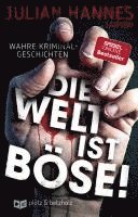 Julian Hannes - Die Welt ist böse!, Häftad