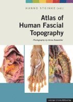 bokomslag Atlas of Human Fascial Topography