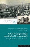 bokomslag Kulturelle Langzeitfolgen industriellen Strukturwandels