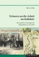 Merve Lühr - Erinnern an die Arbeit im Kollektiv, Inbunden