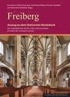 bokomslag Freiberg