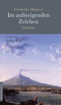 bokomslag Im aufsteigenden Zeichen