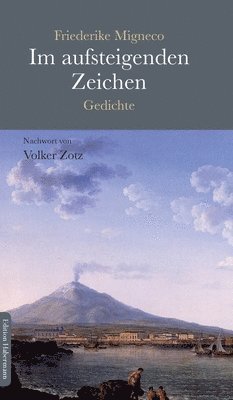 bokomslag Im aufsteigenden Zeichen