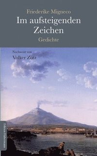 bokomslag Im aufsteigenden Zeichen