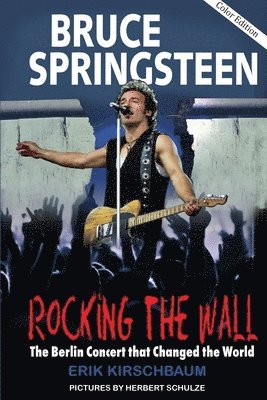 bokomslag Rocking The Wall