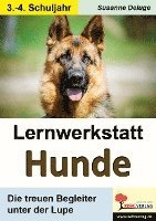 bokomslag Lernwerkstatt Hunde