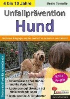 bokomslag Unfallprävention Hund