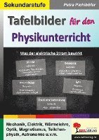Petra Pichlhöfer - Tafelbilder für den Physikunterricht, Häftad