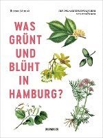 bokomslag Was grünt und blüht in Hamburg?
