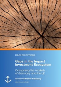bokomslag Gaps in the Impact Investment Ecosystem