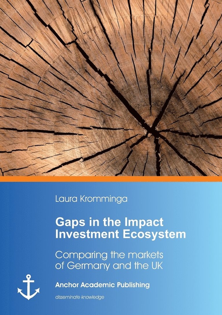 Laura Kromminga - Gaps in the Impact Investment Ecosystem, Häftad