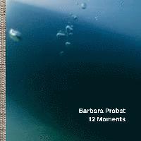 Robert Hobbs - Barbara Probst:12 Moments, Inbunden