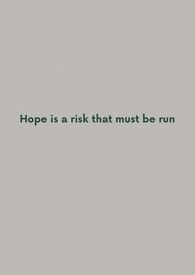 bokomslag Robert Adam: Hope is a risk that must be run
