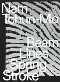bokomslag Nam Tchun-Mo: Beam Lines Spring Stroke