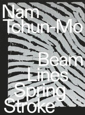 bokomslag Nam Tchun-Mo: Beam Lines Spring Stroke