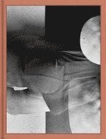 Loredana Nemes - Immergrün, Inbunden