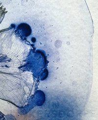 bokomslag Kathrin Linkersdorff | Works