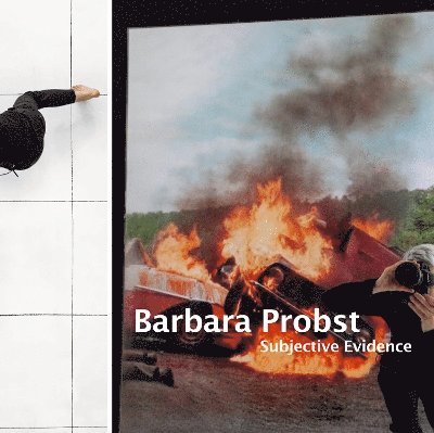 Barbara Porbst Subjective Evidence 1