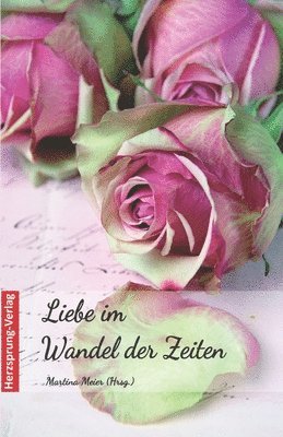 Martina Meier - Liebe im Wandel der Zeiten, Häftad