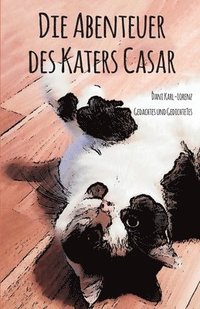bokomslag Abenteuer des Katers Casar
