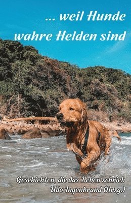 bokomslag ... weil Hunde wahre Helden sind