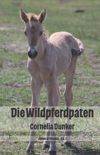 bokomslag Die Wildpferdpaten: Janne & Freunde - Bd. 2