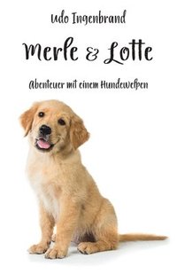 bokomslag Merle & Lotte