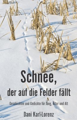 Dani Karl-Lorenz - Schnee, der auf die Felder fällt, Häftad