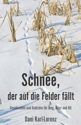 bokomslag Schnee, der auf die Felder fllt