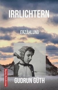 bokomslag Irrlichtern