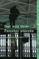 bokomslag Der aus dem Fenster stürzte - Fanny Mendes' zweiter Fall