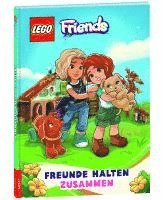 bokomslag LEGO¿ Friends - Freunde halten zusammen