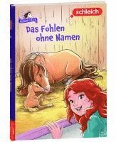 bokomslag schleich¿ Horse Club(TM) - Das Fohlen ohne Namen