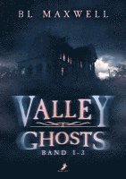 bokomslag Valley Ghosts