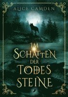 bokomslag Im Schatten der Todessteine