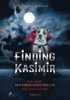 Finding Kasimir 1