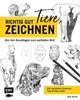 bokomslag Richtig gut zeichnen - Tiere