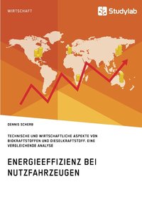 bokomslag Energieeffizienz bei Nutzfahrzeugen. Technischer und wirtschaftlicher Aspekte von Biokraftstoffen und Dieselkraftstoff