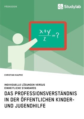 bokomslag Professionsverständnis in der öffentlichen Kinder- und Jugendhilfe. Individuelle Lösungen versus einheitliche Standards