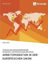 bokomslag Arbeitsmigration in der Europaischen Union. Chancen und Herausforderungen am Beispiel von Deutschland und Polen