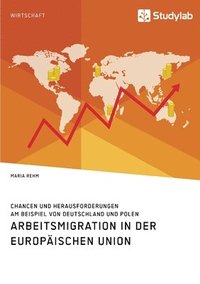 bokomslag Arbeitsmigration in der Europäischen Union. Chancen und Herausforderungen am Beispiel von Deutschland und Polen