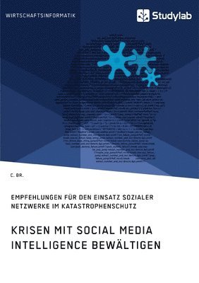 bokomslag Krisen mit Social Media Intelligence bewltigen. Empfehlungen fr den Einsatz sozialer Netzwerke im Katastrophenschutz