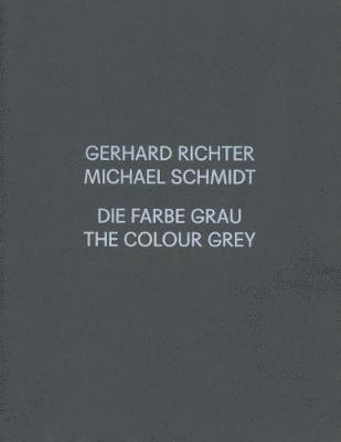 bokomslag Gerhard Richter / Michael Schmidt