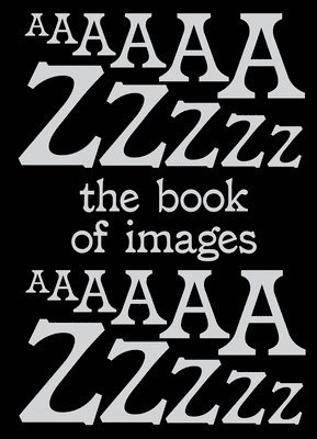 bokomslag Book of Images An illustrated dictionary of visual experiences From A to Z