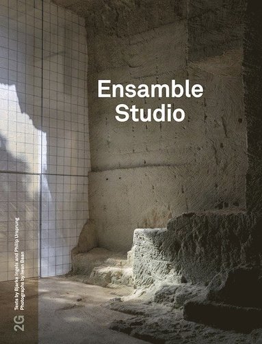 bokomslag 2G 82: Ensamble Studio