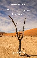 bokomslag Verschollen in Namibia