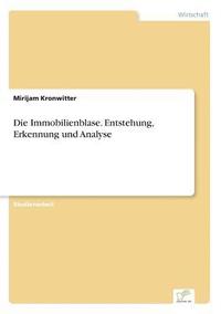 bokomslag Immobilienblase. Entstehung, Erkennung und Analyse