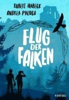 bokomslag Flug der Falken (Band 2)