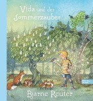 bokomslag Vida und der Sommerzauber